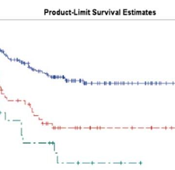 Influence of neoadjuvant therapy on the ratio of lymph nodes