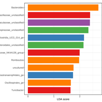 Comparison of gut microbiota in alcoholic and metabolic-dysfuncion associated steatotic liver disease in animal models